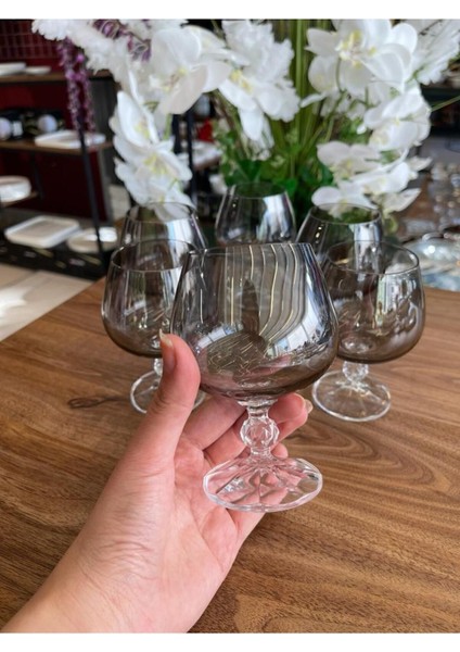 Okyay Home Bohemia Crystal Bohemia 6 Lı 250 cc Kristal Kahve Yanı Su Bardağı Füme