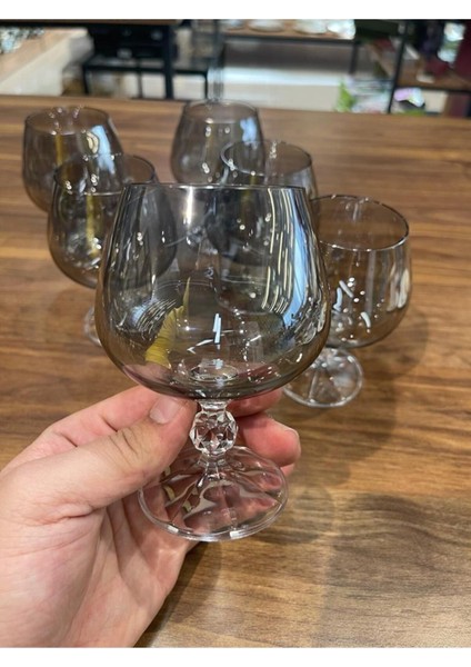 Okyay Home Bohemia Crystal Bohemia 6 Lı 250 cc Kristal Kahve Yanı Su Bardağı Füme indirimleri