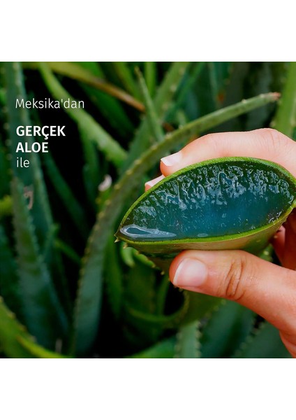 Yatıştırıcı Aloe İçeren Sülfatsız Saç Bakım Kremi 250 ml modelleri