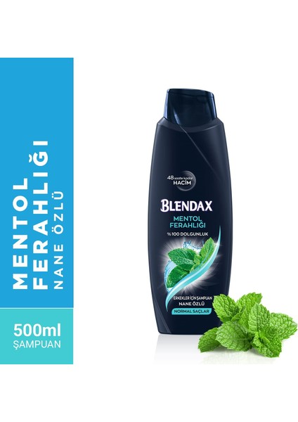 Erkekler Için Mentol Ferahlığı Nane Özlü Şampuan, 500 ml