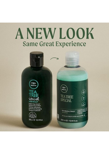 Tea Tree Paul Mitchell Special Canlandirici Şampuan 300 ml