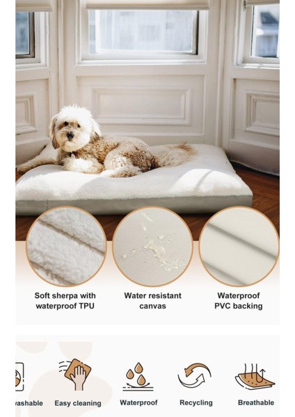 Krem Renkli Çift Taraflı Peluş Büyük Köpek Yatağı, Su Geçirmez, 120x80 cm, Yastık Yatak fırsatları
