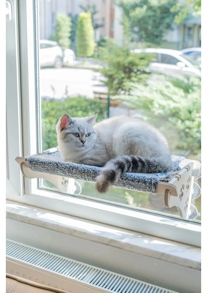 Çok Renkli Ahşap Kedi Yatağı, Konforlu ve Şık Evcil Hayvan Uyku Alanı, 20 cm yüksekliğinde
