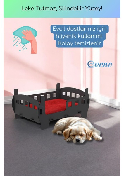Şık ve konforlu büyük ahşap kedi yatağı, siyah renk, dekoratif tasarım fırsatları