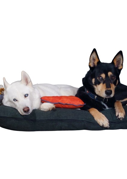 Yıkanabilir Köpek Minderi, Su Geçirmez Kumaş, Fermuarlı, 120x100, Simit Yatak, 15 cm, Lacivert indirimleri