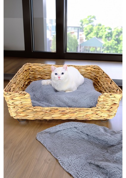 Hasır Dikdörtgen Kedi ve Köpek Yatağı Iç Minderli 60,5 cm Kahverengi - CL-4038 C1-1-121