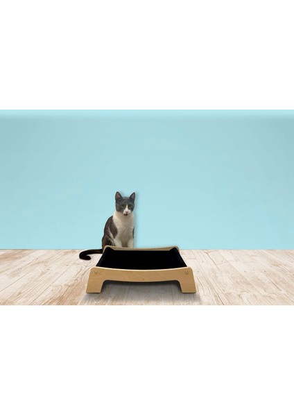 Koyu lacivert rahat ve yumuşak küçük evcil hayvan yatağı, kutu tipi, 12 cm yükseklik fiyatları