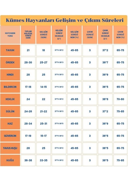60 Yumurta Kapasiteli Tam Otomatik Kuluçka Makinesi - Civciv, Kaz, Hindi ve Ördek Yetiştiriciliği EPO-W60 ( Lisinya ) fırsatları