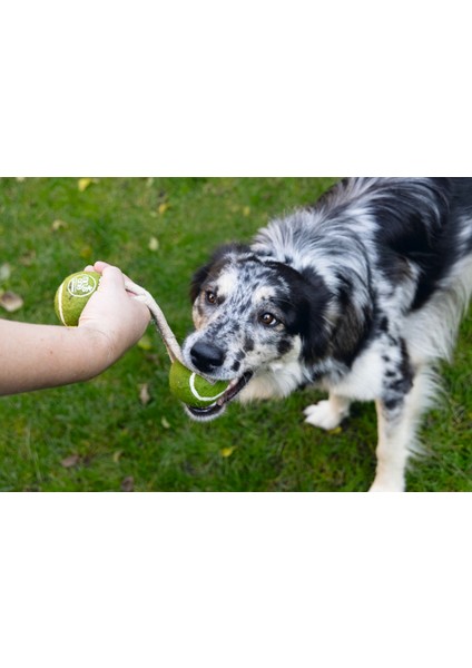 Köpek Oyuncağı, Ipli Iki Tenis Topu, Kauçuk, Gri/kahverengi, 21CM, Top 6,3cm Drstr fiyatları
