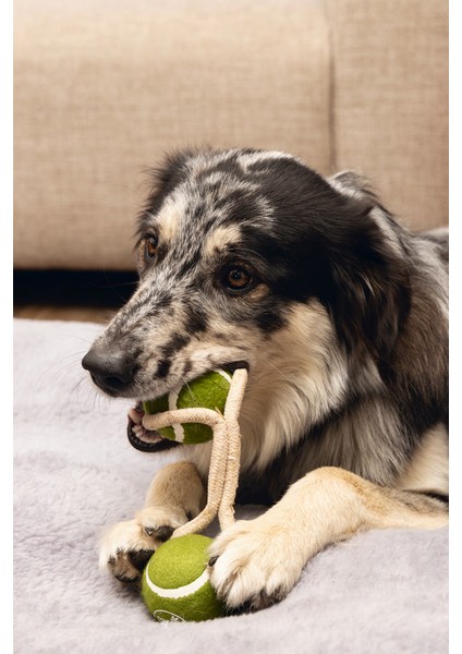 Köpek Oyuncağı, Ipli Iki Tenis Topu, Kauçuk, Gri/kahverengi, 21CM, Top 6,3cm Drstr indirimleri