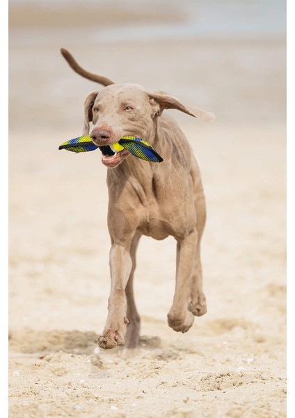 Köpek Oyuncağı, Yüzen, Tenis Topu, Mavi/sarı, 30X9,5X6,3CM Drstr fiyatları