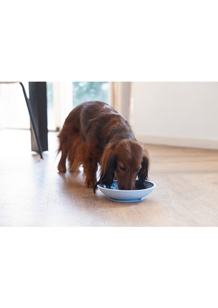 Yavru Köpek Mama Yeme Oyuncağı, Silikon, Açık Mavi, 19CM Drstr fiyatları