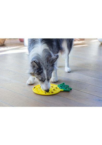Yavru Köpek Yaş Mama Yeme Oyuncağı, Ananas Şeklinde,silikon, Sarı, 20X20CM Drstr fiyatları