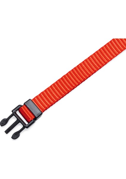 Yavru Köpek Boyun Tasması, Çeşitli Renklerde, 22-35CM, 10MM Drstr