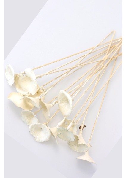 15 Adet Kuru Golden Mantar Bambu Çubuklu Retro Ekru, Yaprak Desenli Renkli Set