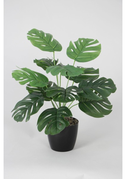Siyah saksıda 45 cm yapay devetabanı (monstera) bitkisi, doğal görünüm, yeşil renk
