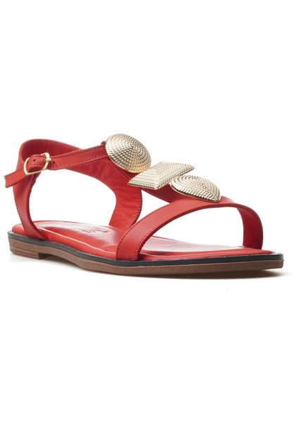 Kadın Toka Detaylı Sandalet 25Y 25161301Y Z fırsatları