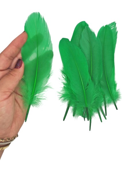 Yeşil Tüy El Işi Tüyleri, Okul Öncesi Etkinlik Tüy 10 Lu - 1 Paket