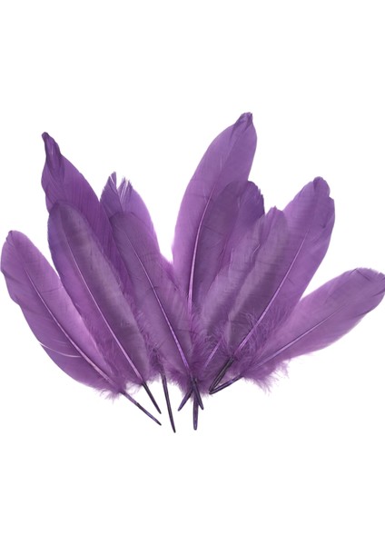 Mor Tüy El Işi Tüyleri, Okul Öncesi Etkinlik Tüy 10 Lu - 1 Paket modelleri