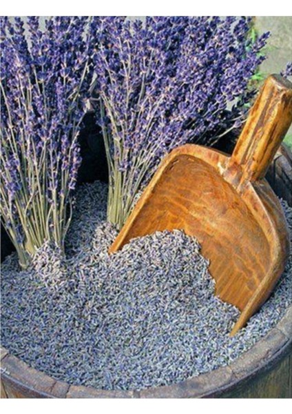 Lavanta Kurusu Tül Kese, Yoğun Kokulu, 30 Gr, 1 Parça, Aromalı, Yeni Mahsul fırsatları