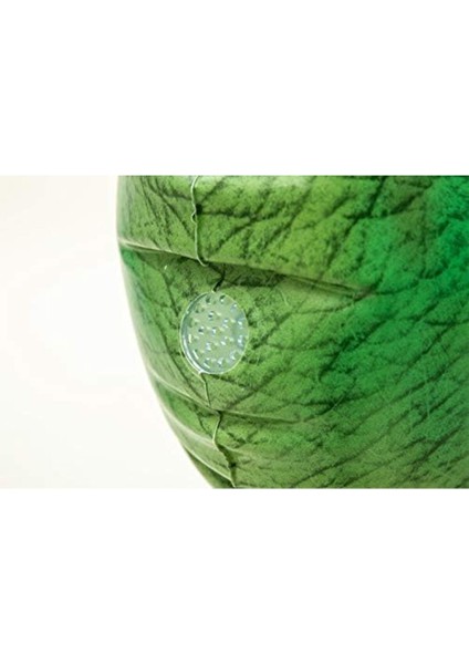 Çocuklar için renkli dinozor su fıskiyesi, açık hava eğlencesi, pompa hariç, 122 cm fiyatları