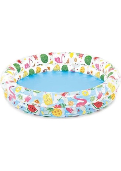 59421 Şeffaf Meyve Desenli Havuz 2 Bölme 122CM