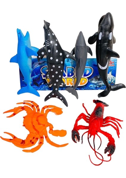 Renkli Deniz Canlıları Seti, 7-8 Yaş İçin, 6 Parça, Karışık