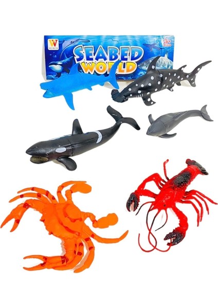Renkli Deniz Canlıları Seti, 7-8 Yaş İçin, 6 Parça, Karışık fiyatları