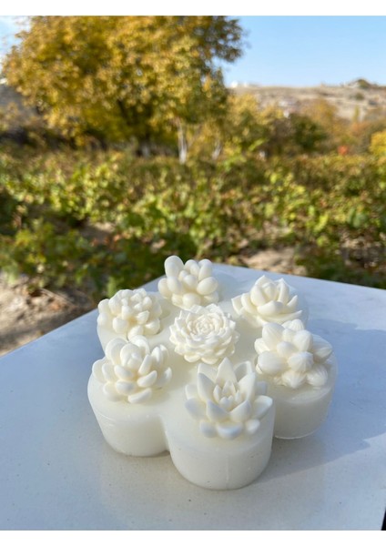 Yedili Çok Renkli Kaktüs Silikon Mum Kalıbı, Şık ve Kullanışlı Tasarım