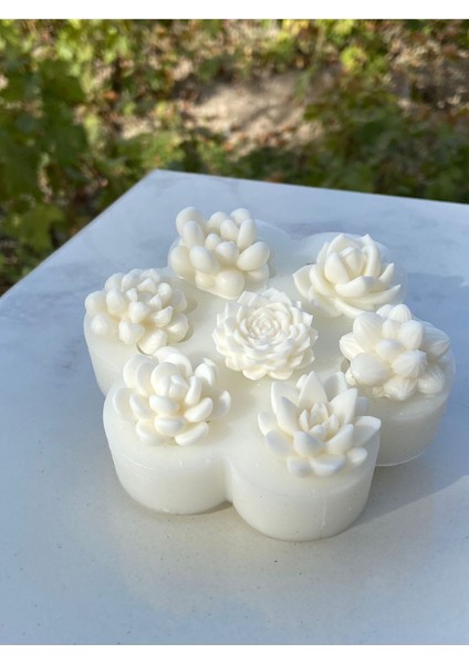 Yedili Çok Renkli Kaktüs Silikon Mum Kalıbı, Şık ve Kullanışlı Tasarım modelleri