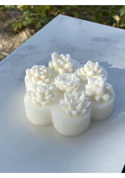 Yedili Çok Renkli Kaktüs Silikon Mum Kalıbı, Şık ve Kullanışlı Tasarım fırsatları