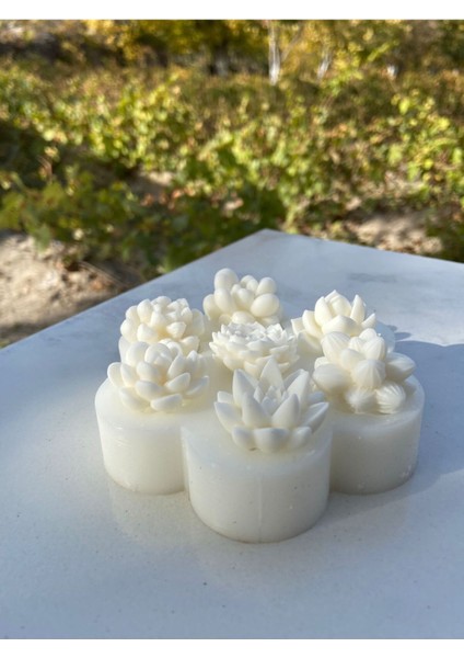 Yedili Çok Renkli Kaktüs Silikon Mum Kalıbı, Şık ve Kullanışlı Tasarım indirimleri