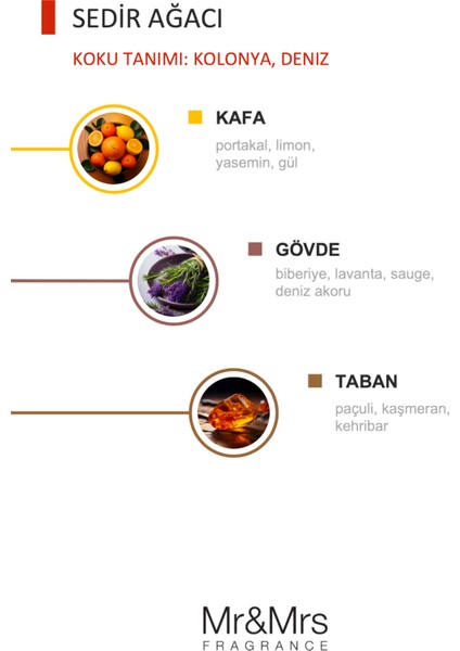 Cesare Kart - Oto Araç Kokusu, Asma Kart Kokusu - Cedar Wood fiyatları