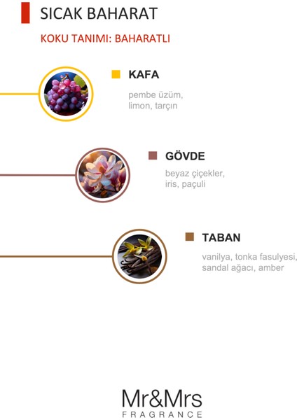 Cesare Kart - Oto Araç Kokusu, Asma Kart Kokusu - Warm Spicy fiyatları