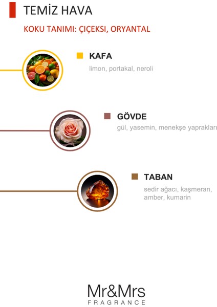 Cesare Kart - Oto Araç Kokusu, Asma Kart Kokusu - Fresh Air fiyatları
