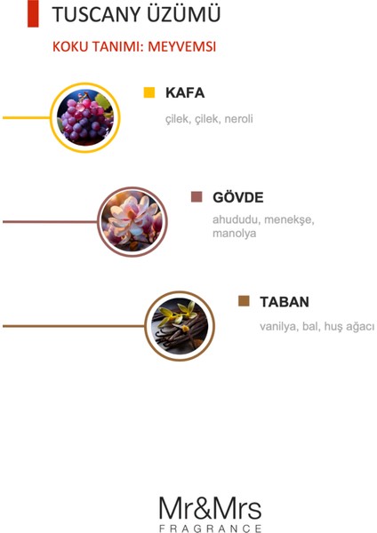 Cesare - Oto Araç Kokusu, Araba Klima Kokusu, Oto Kokusu - Tuscany Grape modelleri
