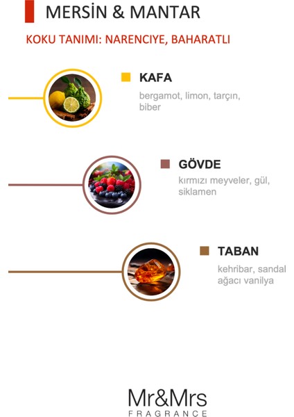 Cesare - Oto Araç Kokusu, Araba Klima Kokusu, Oto Kokusu - Citrus & Musk modelleri