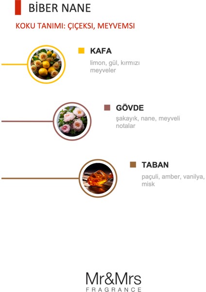 Cesare - Oto Araç Kokusu, Araba Klima Kokusu, Oto Kokusu - Pepper Mint modelleri