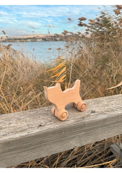 Renkli Ahşap Tekerlekli Kedi Oyuncağı, Dayanıklı ve Sevimli Çocuklar İçin