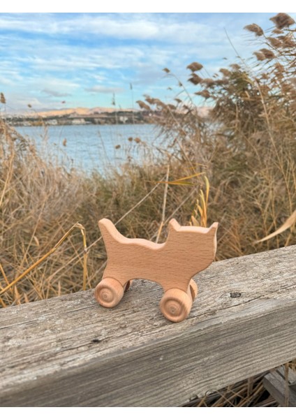 Renkli Ahşap Tekerlekli Kedi Oyuncağı, Dayanıklı ve Sevimli Çocuklar İçin fiyatları