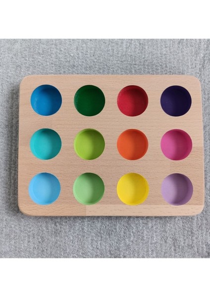 Montessori Eşleştirme Tablası