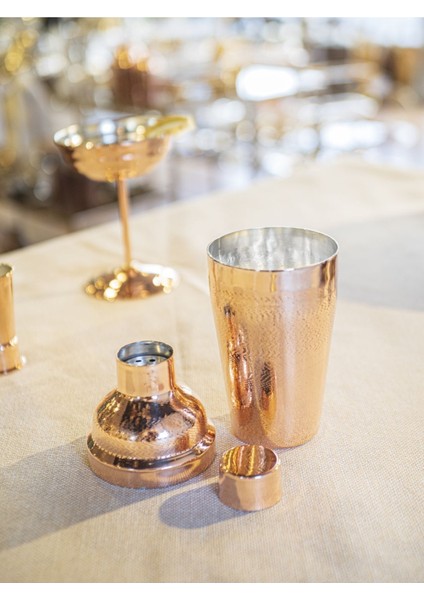 Bakır Shaker Noktalı Desenli Parlak Bakır Renk No 1 modelleri