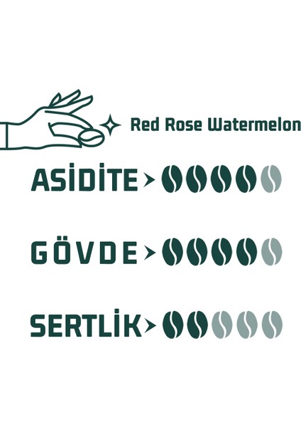 Red Rose Watermelon Kahve modelleri