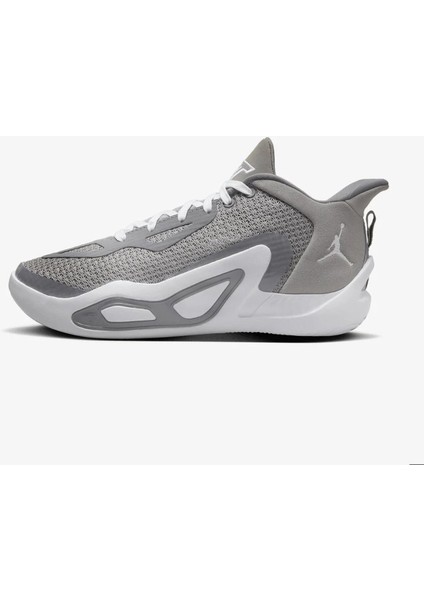 Jordan Jayson Tatum 1 Unisex Basketbol Ayakkabısı DX5359-002 Gri - 40