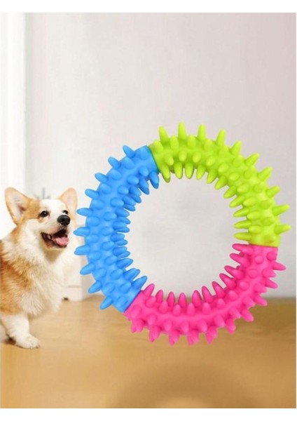 Köpek Isırma Diş Kaşıma Çemberi