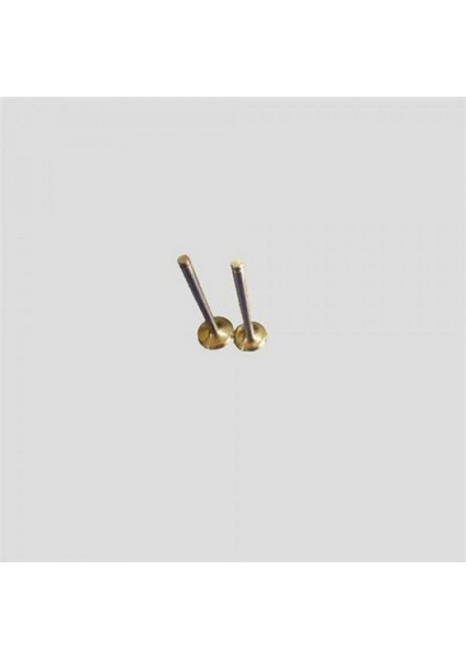 Subap Emme Eksoz P206-P307 1.4 Hdi-Fiesta 1.4 Tdci Dpmah