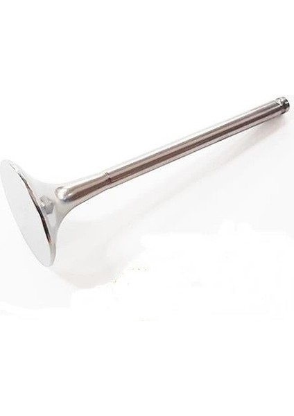 Vertex Yam.yz 250 F 01-13/WR250F 01-14 Titanyum Egz Subap fiyatları