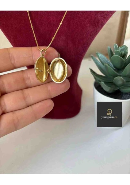 Ankakuşu Alya Kolyesi Gold Renk Çelik Kapaklı Kolye fırsatları