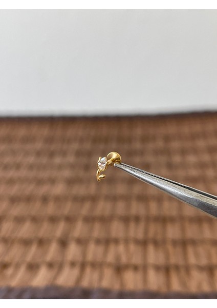 316 L Cerrahi Çelik Lale Modeli Zirkon Taşlı Dudak Helix Tragus Kıkırdak Pierincgi