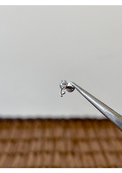316 L Cerrahi Çelik Lale Modeli Zirkon Taşlı Helix Tragus Dudak Kıkırdak Piercingi